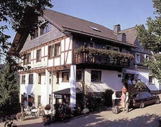 Pension Zur Schonen Aussicht ฮัลเลนแบร์ก ภายนอก รูปภาพ