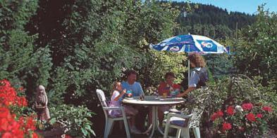 Pension Zur Schonen Aussicht ฮัลเลนแบร์ก ภายนอก รูปภาพ